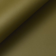 GN-SPK 38 lahvově zelená antibakteriální odolná koženka