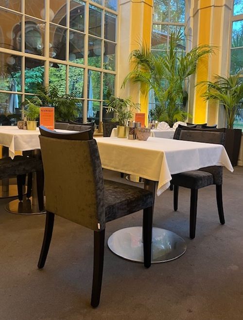 Čalouněné židle design interiéry