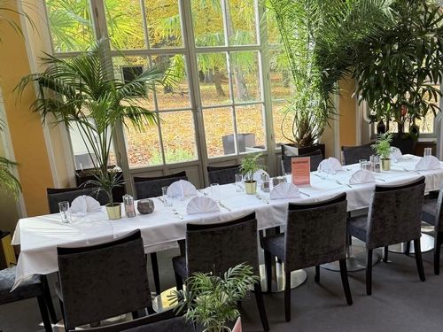 Čalouněné židle design interiéry