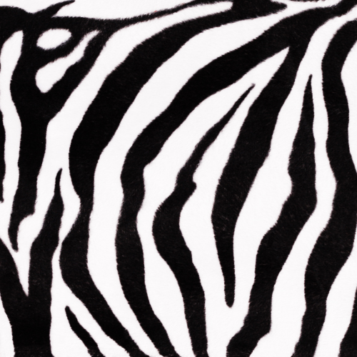 Látka ZOO motiv Zebra