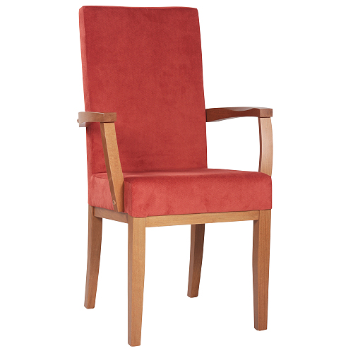 Čalouněné židle s loketní opěrkou