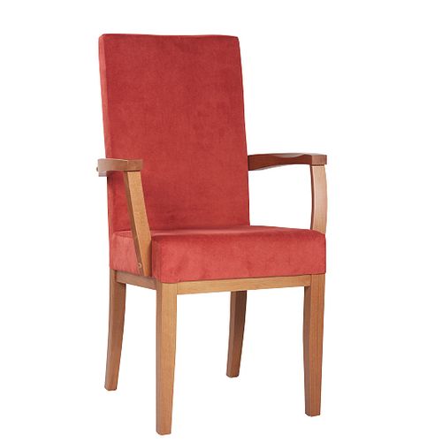 Čalouněná židle ELISA H ALE