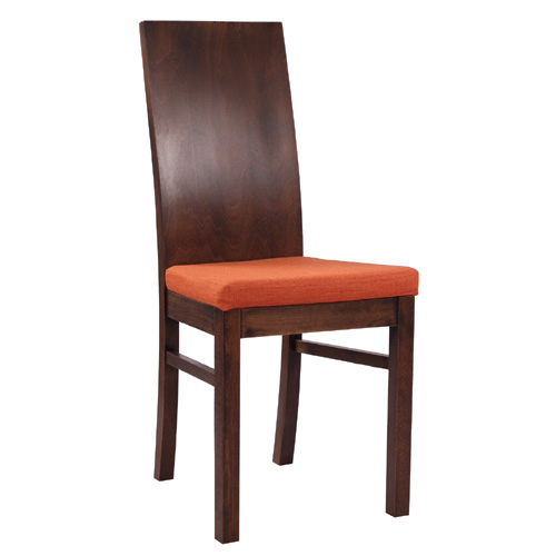 Čalouněná židle dřevěná opěrka