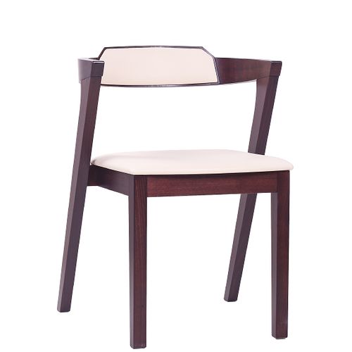 Restaurační židle moderní