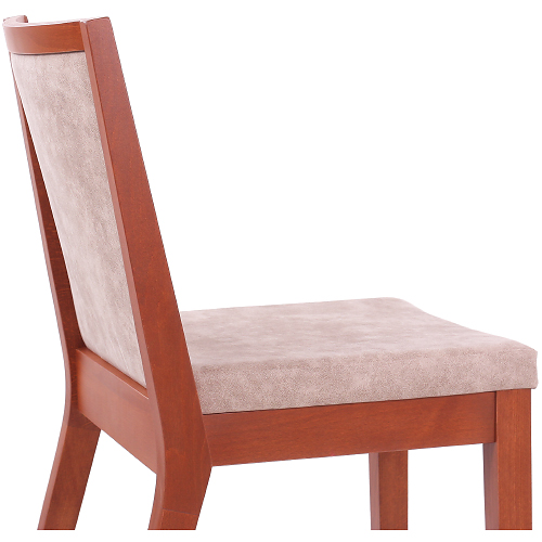 Dřevěné čalouněné židle ppro kultruní domy masivní buk