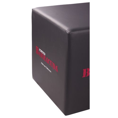 Logo čalouněný taburet