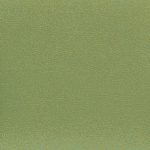 Sanitární koženka